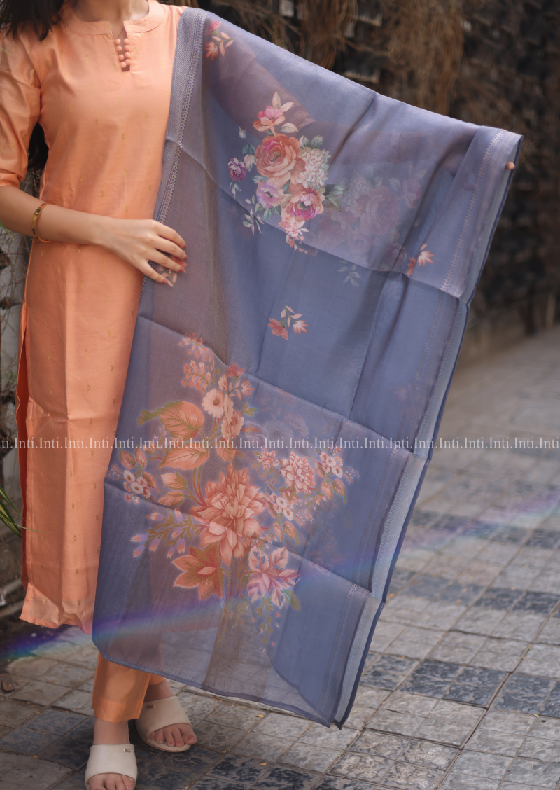 Marmalade Mist Salwar Suit