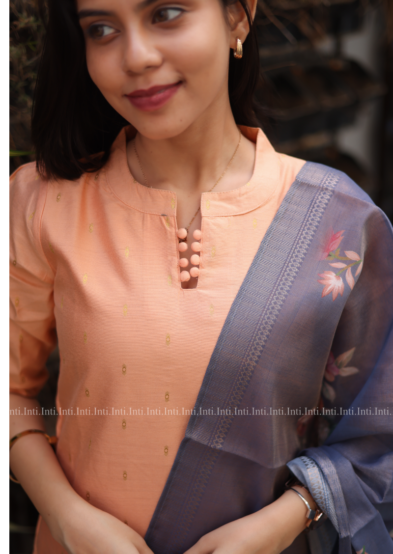 Marmalade Mist Salwar Suit
