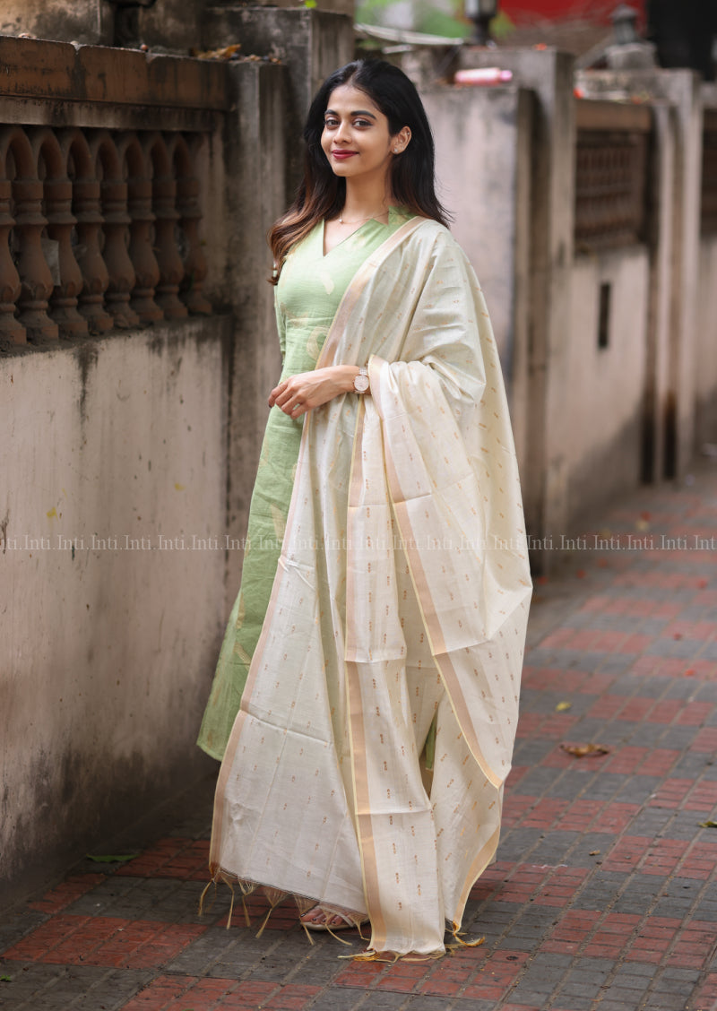 Sage Glow Salwar Suit