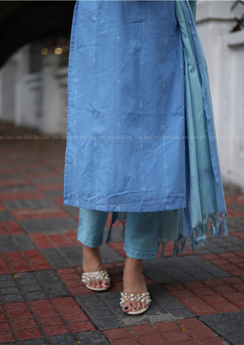Frozen Flare Salwar Suit
