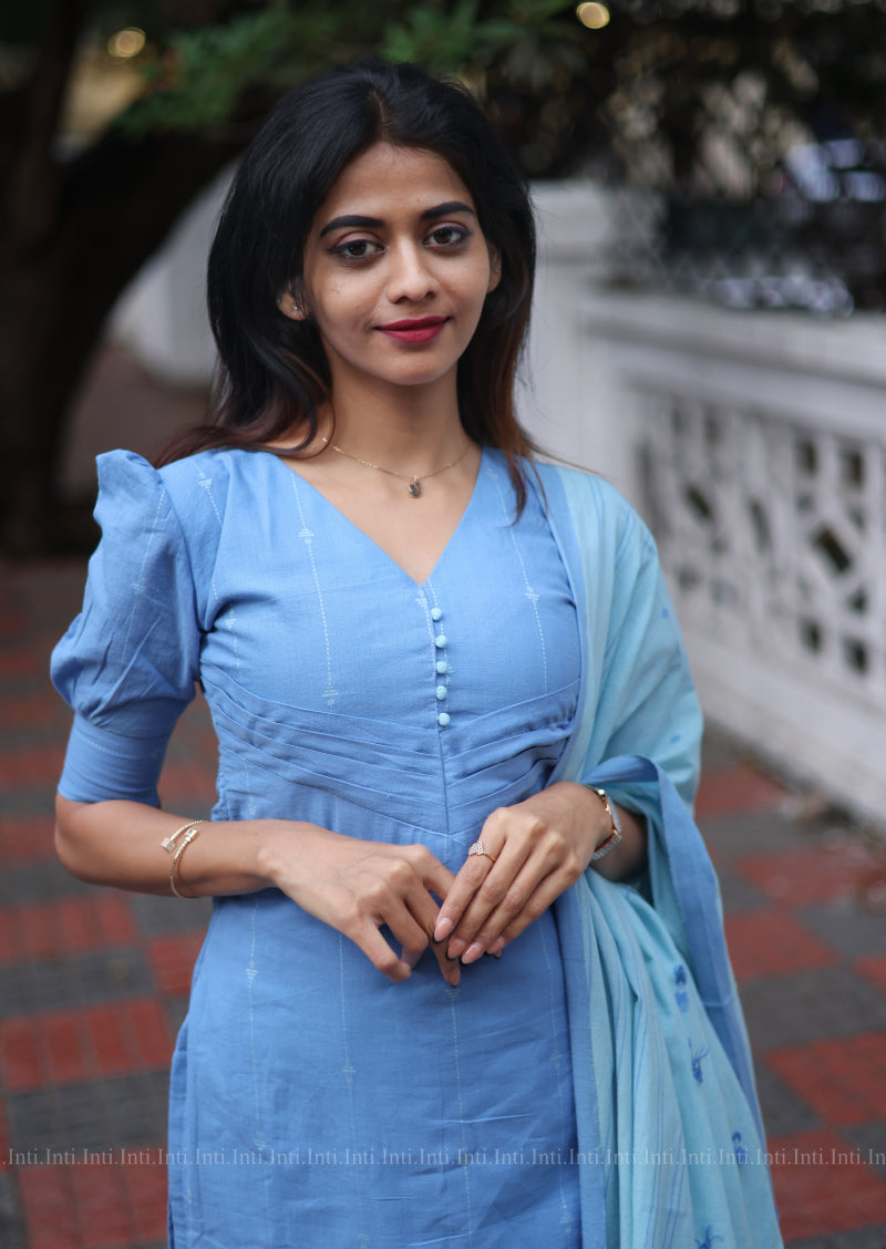 Frozen Flare Salwar Suit