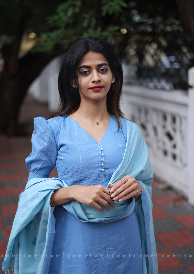 Frozen Flare Salwar Suit