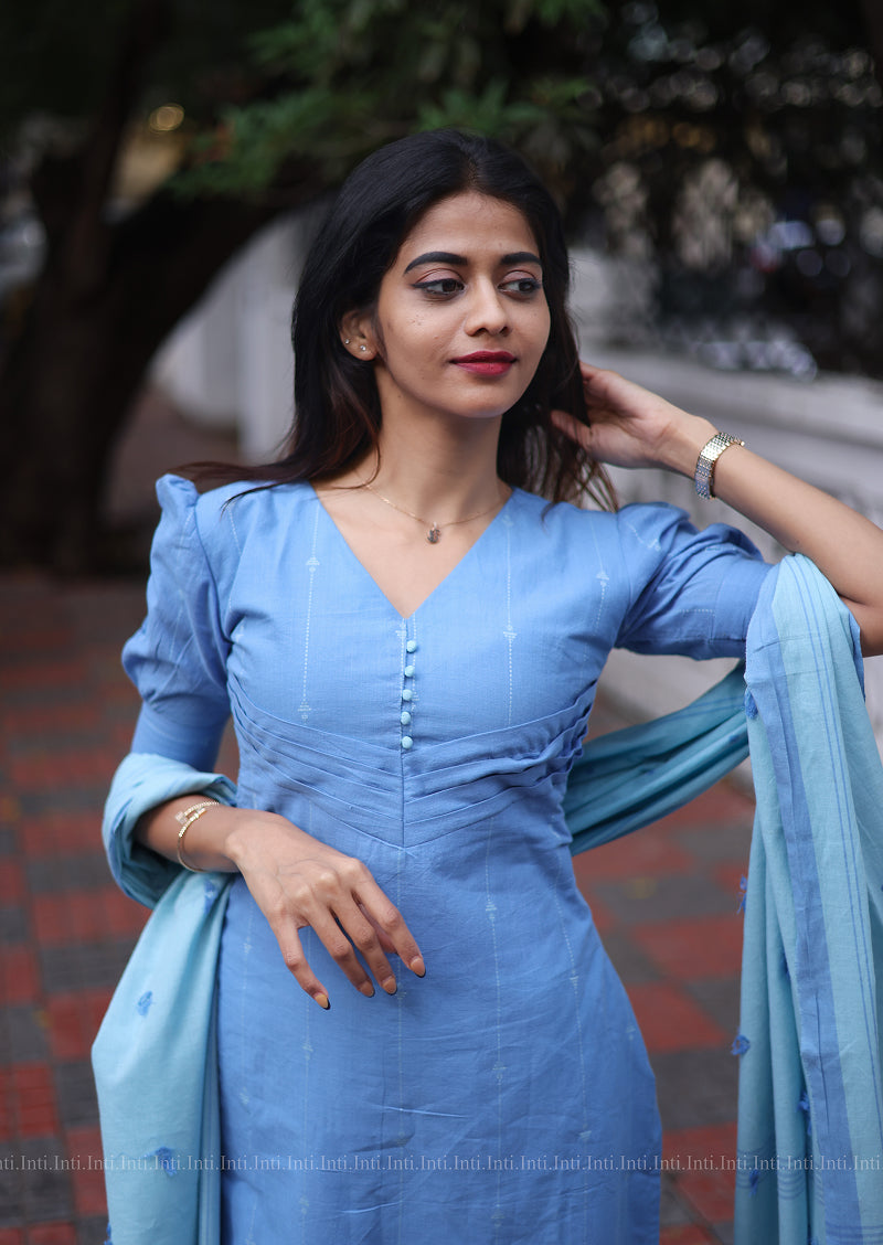 Frozen Flare Salwar Suit