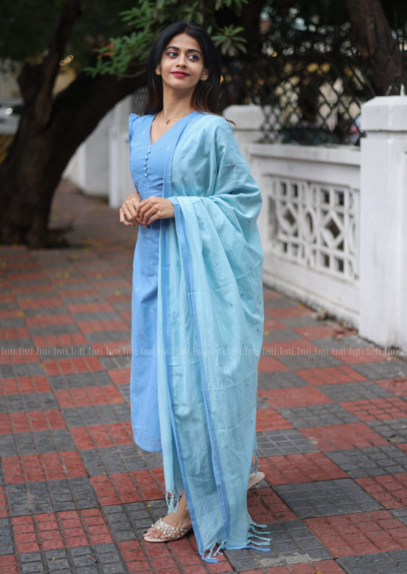 Frozen Flare Salwar Suit