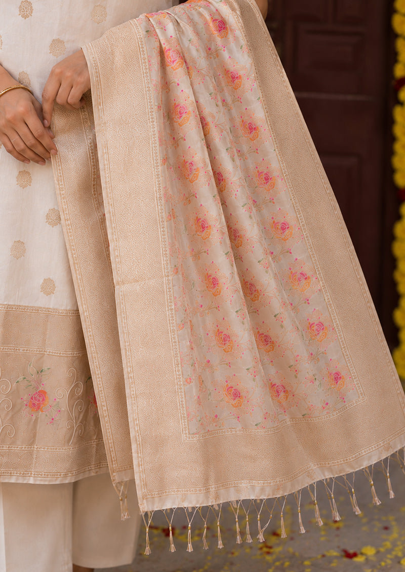 Color Butterflies Salwar Suit