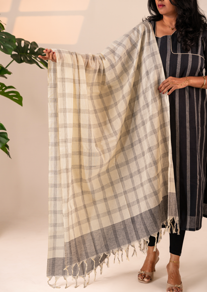 Crafted Ash Top & Dupatta Set
