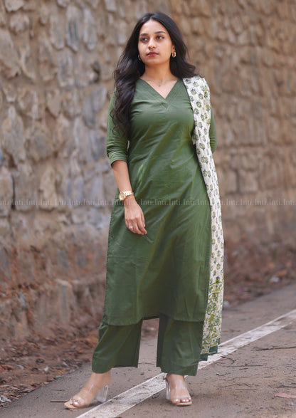 Cypress Muse Salwar Suit