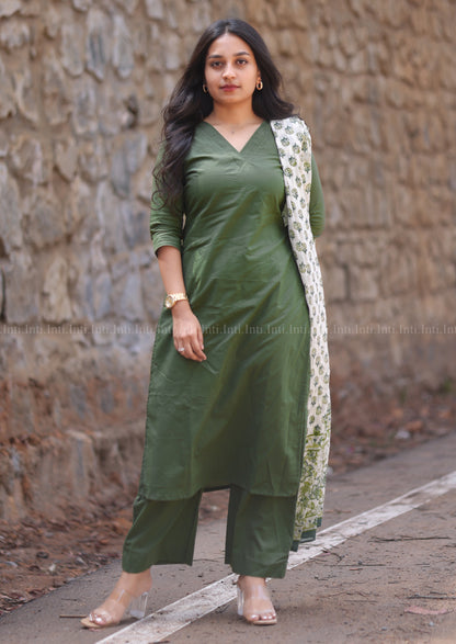 Cypress Muse Salwar Suit