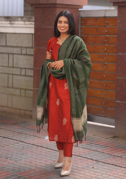 Dorin Selis Salwar Suit