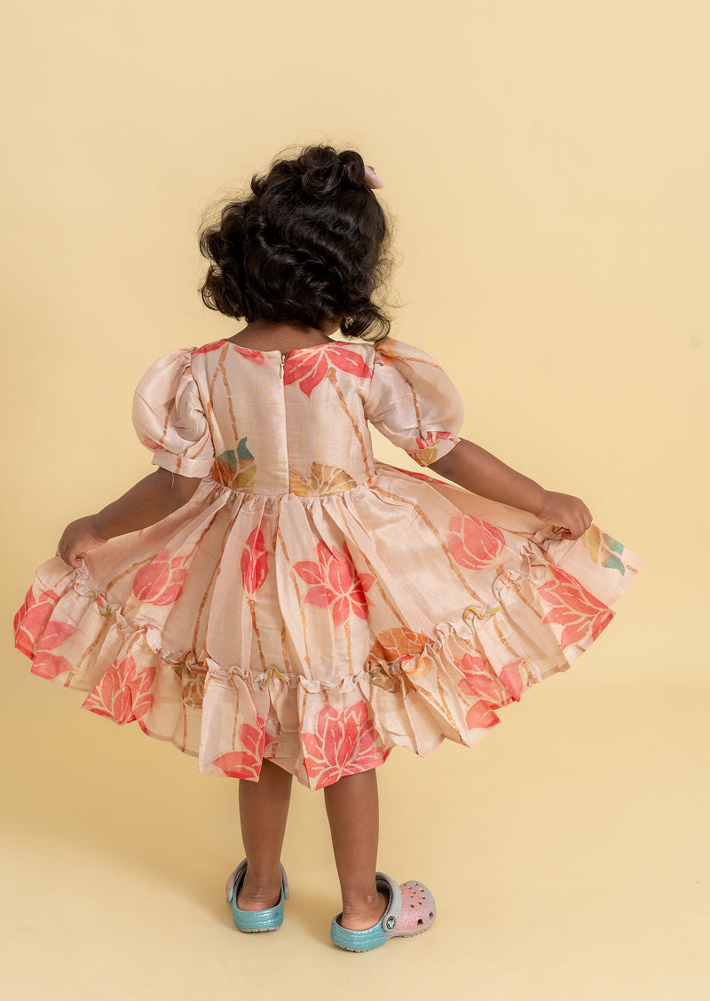 Fluffy Tales Frock