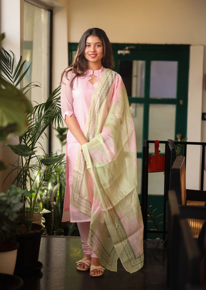 Primrose Etch Top & Dupatta Set