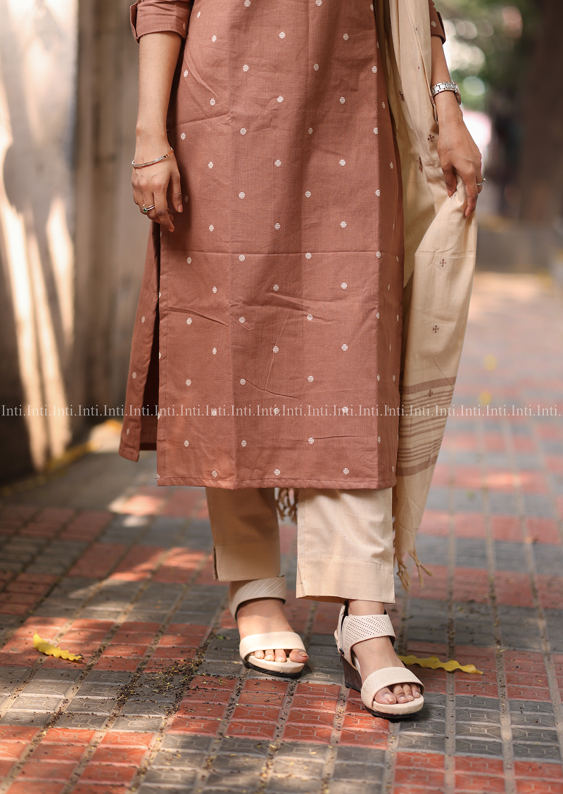Chickoo Muse Salwar Suit