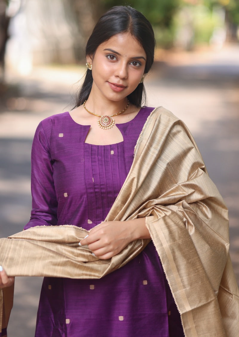 Kena Wine Salwar Suit