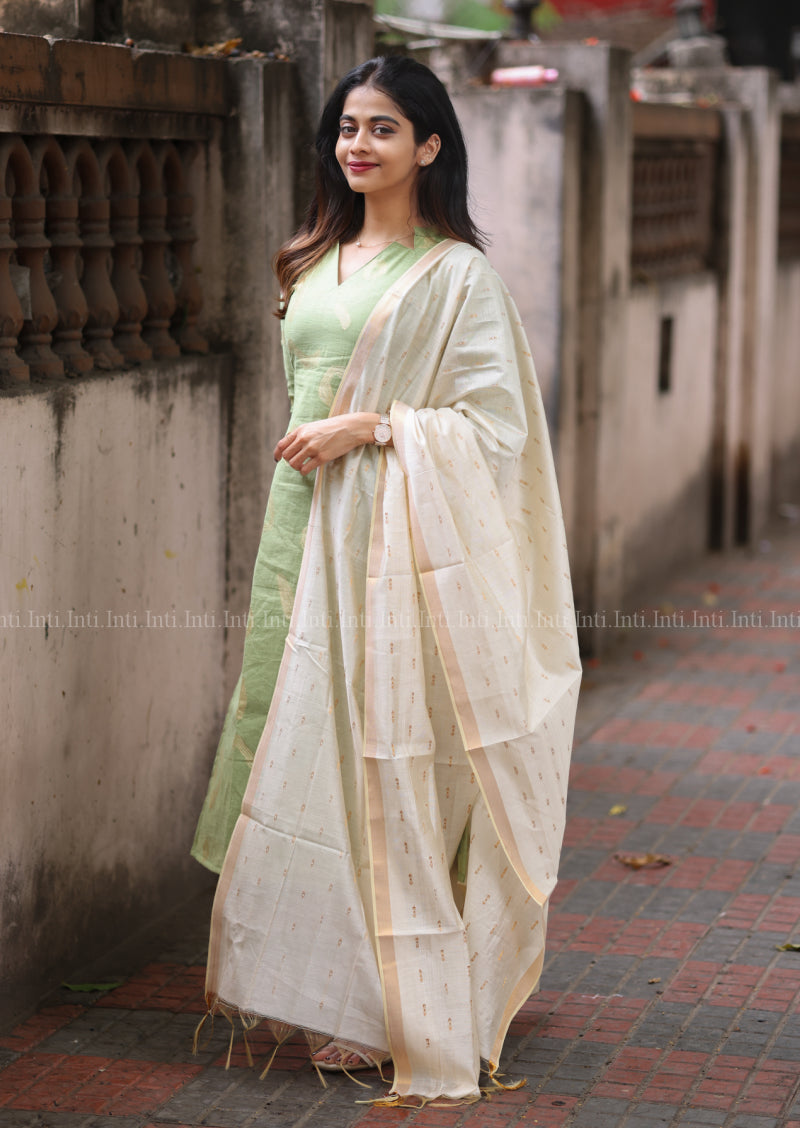 Sage Glow Salwar Suit