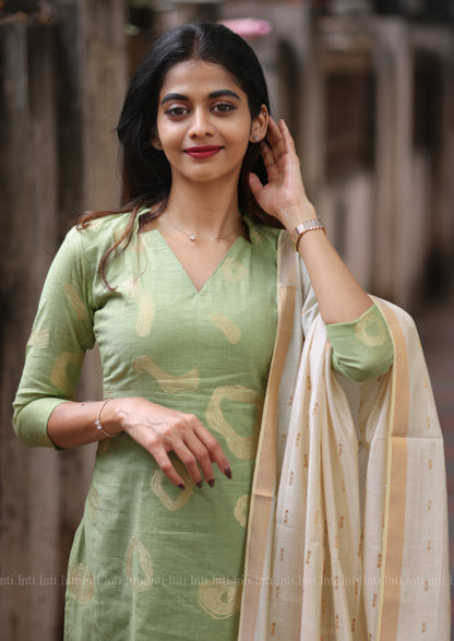 Sage Glow Salwar Suit