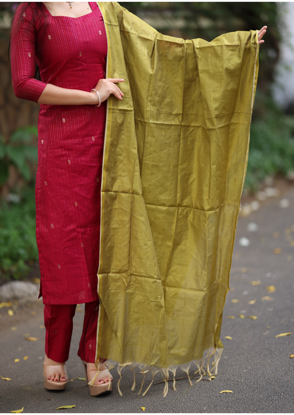 Speckle Noble Salwar Suit
