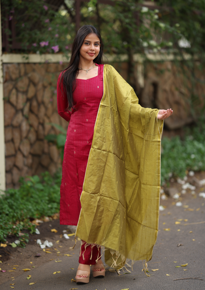Speckle Noble Salwar Suit