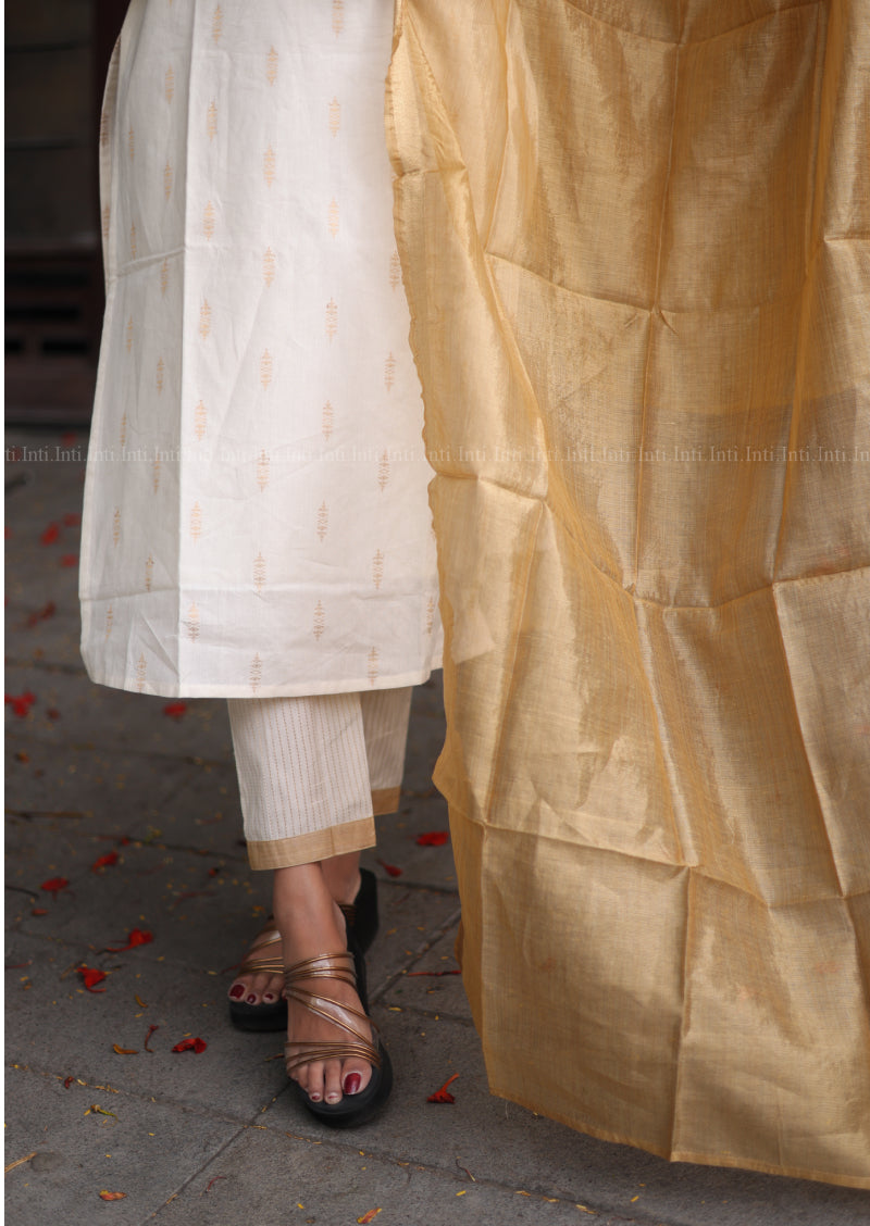 Varnika Krithi Salwar Suit
