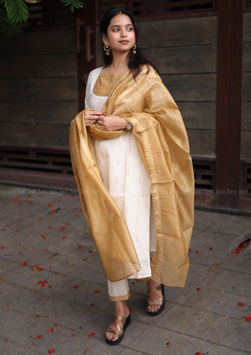 Varnika Krithi Salwar Suit