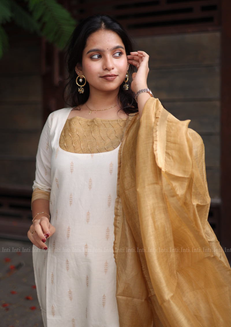 Varnika Krithi Salwar Suit