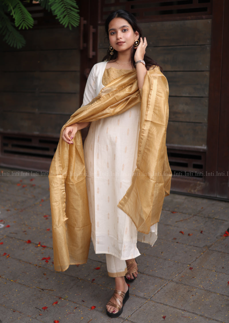 Varnika Krithi Salwar Suit