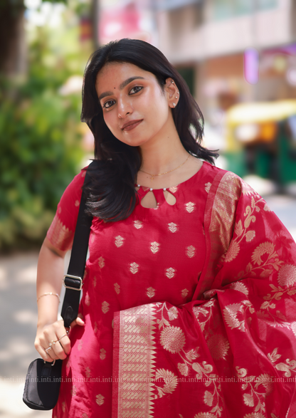 Love Berry Salwar Suit