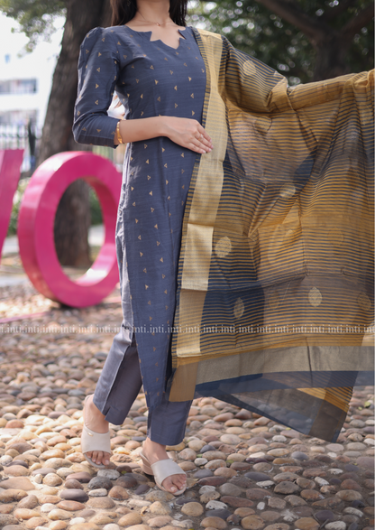 Ashen Elegance Salwar Suit